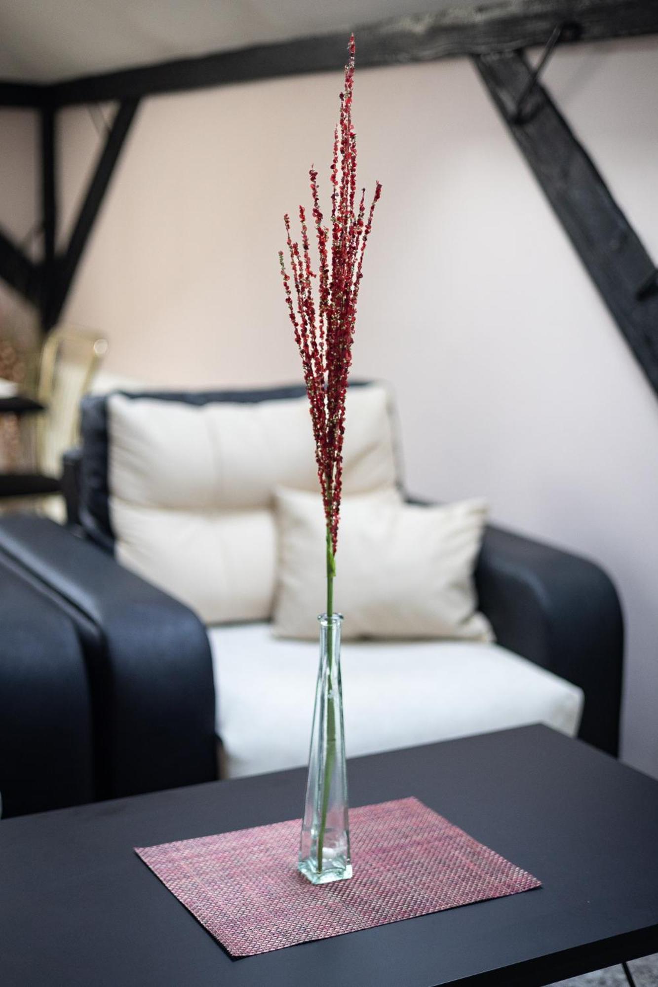 He-Ra Apartments With Free Parking سكوبجي الغرفة الصورة